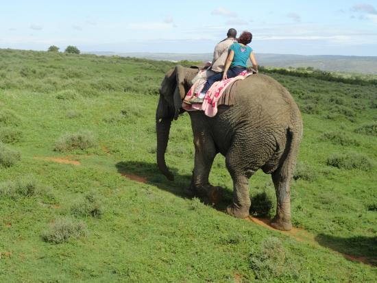Kwantu Elephant Sanctuary