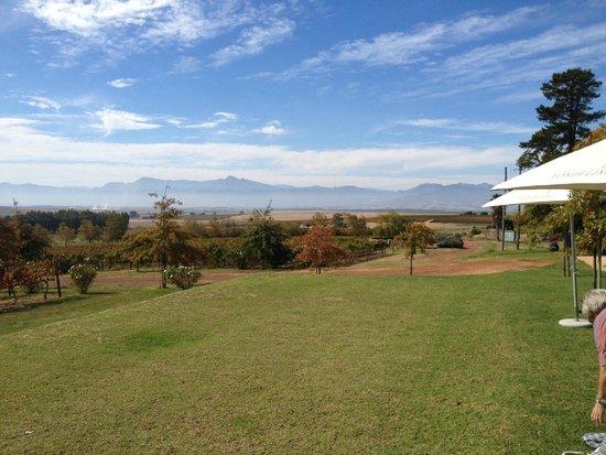 Vonderling Wine Farm