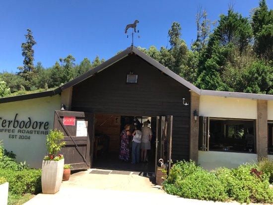Terbodore Coffee Roasters