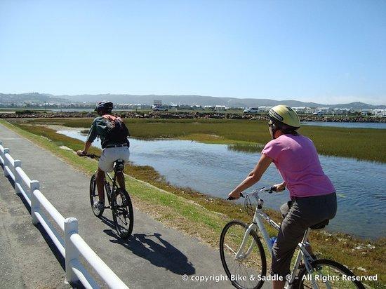 Bike and Saddle