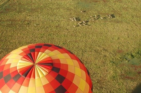 AirVentures Hot Air Ballooning