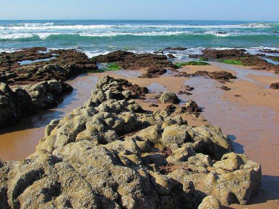 Zinkwazi Beach
