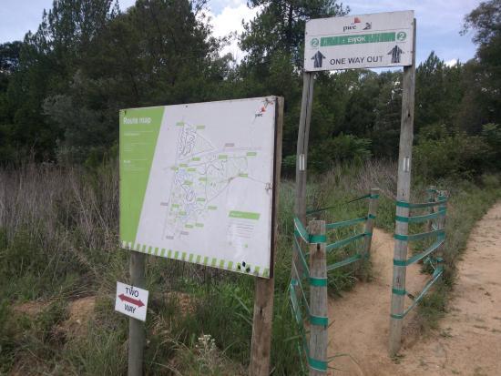 PwC Cycle Park