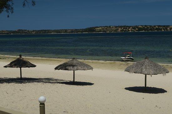 Big Six Tour Safaris