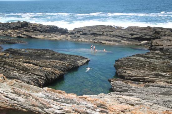 The Dolphin Trail