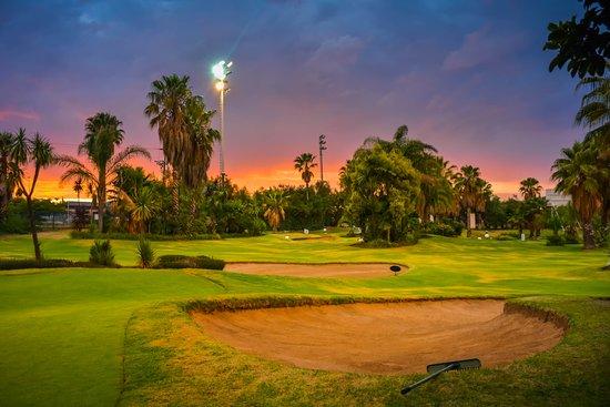 Momentum World of Golf