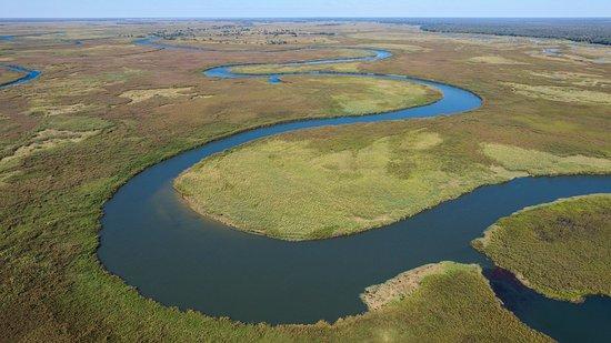 Bushward Safaris