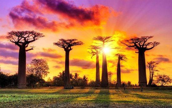Sleep Africa