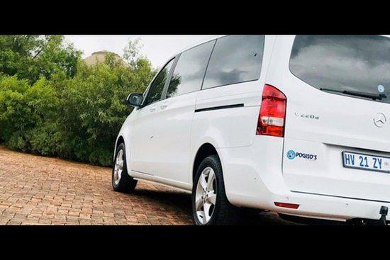 Pogiso's Tours