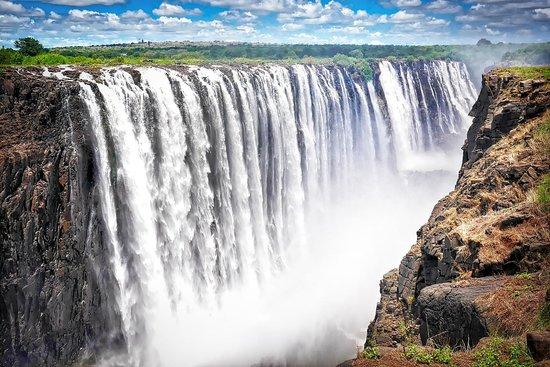 Executive Guided Tours