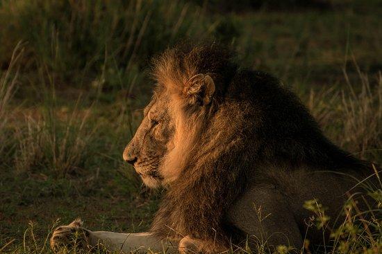Nkango Tours & Safaris