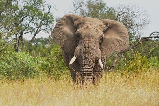 Explorek2k Safaris And Transfers