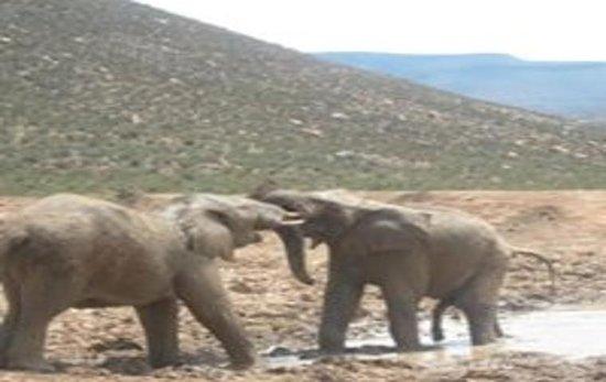 Shanyayi Travel