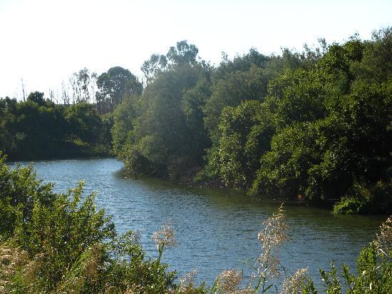 Ezemvelo Nature Reserve