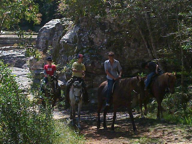 Wilderness Adventures Horse Trails
