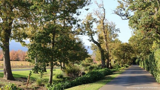 Life Retreat