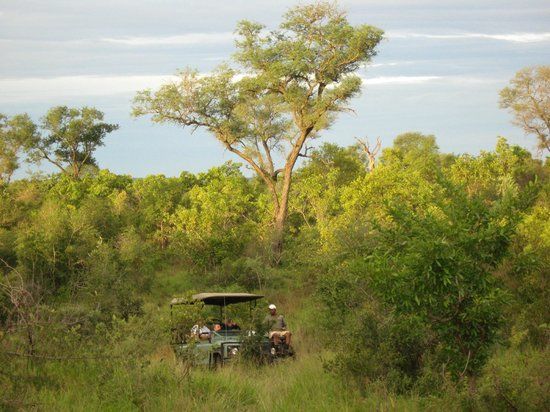 Idube Game Reserve