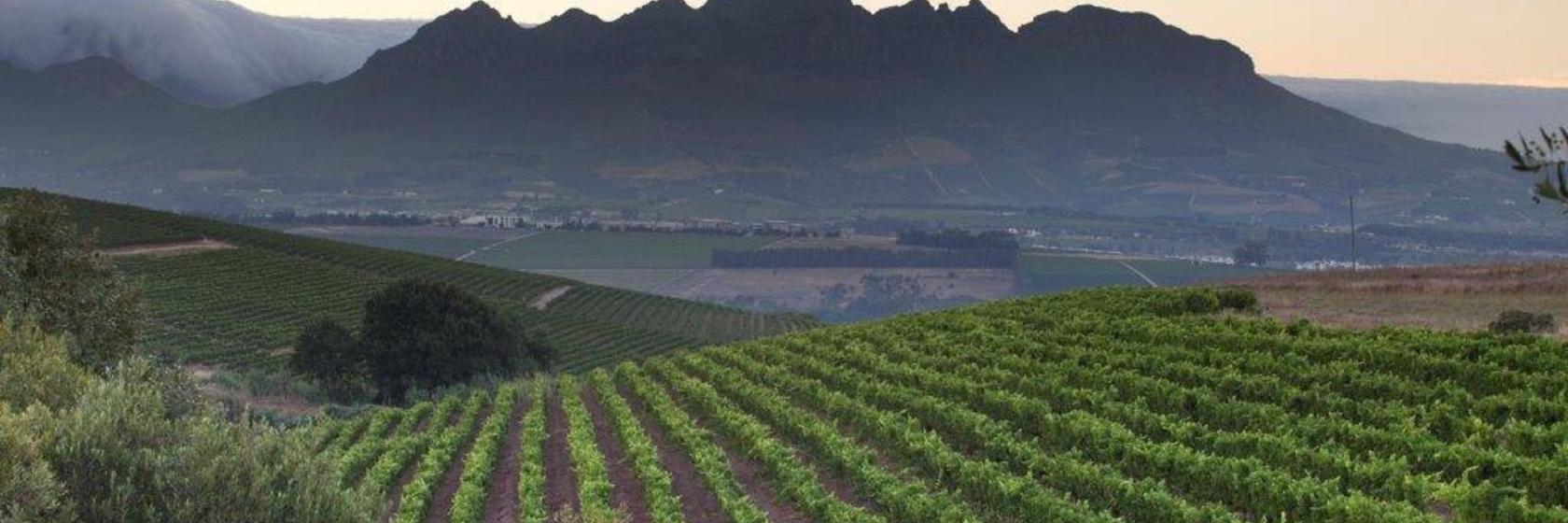 Asara Wine Estate