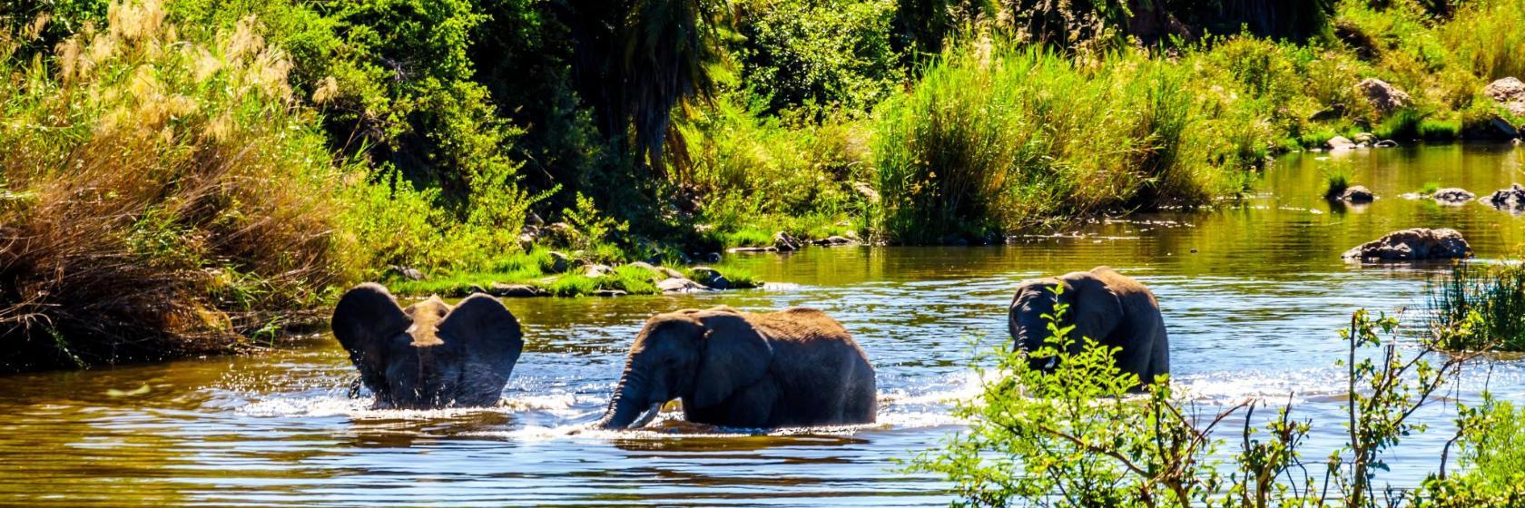 Olifants West Game Reserve