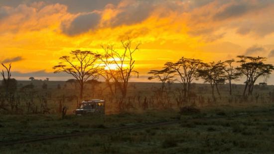Kraalkop Nature Reserve